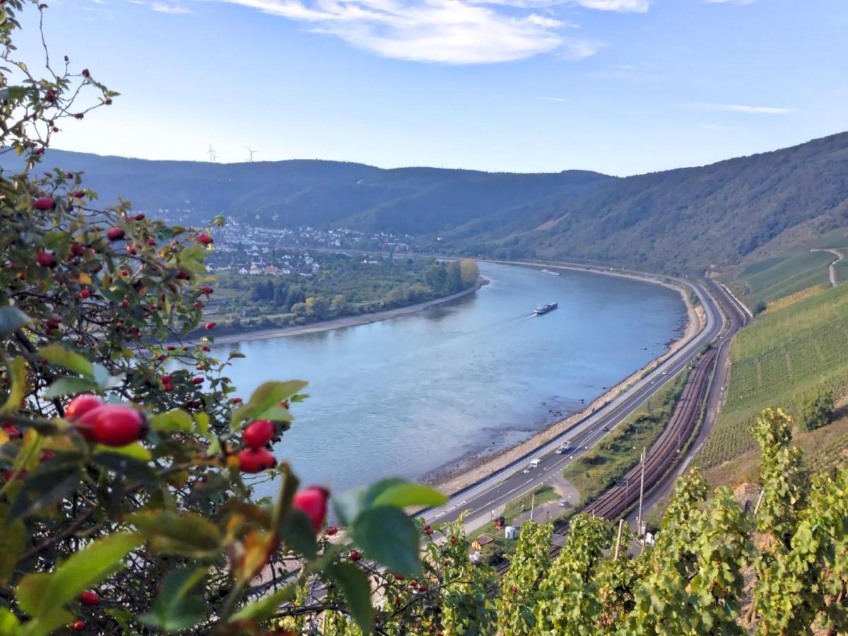 Hotel Rheinlust Boppard Bilik gambar